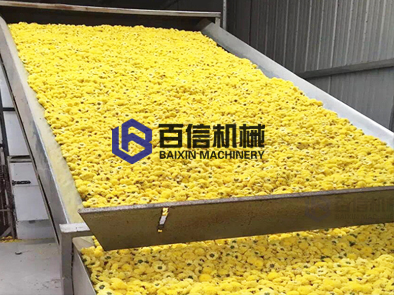 菊花烘干機(jī)在湖南省大蒜產(chǎn)業(yè)中的應(yīng)用：不忘初心，展望未來(lái)！
